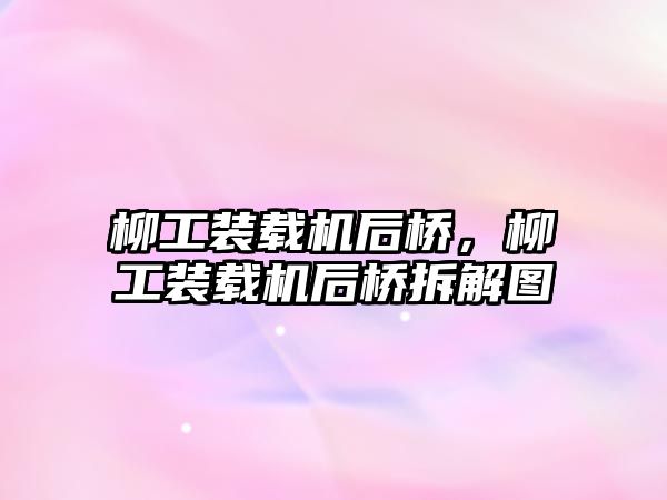 柳工裝載機(jī)后橋，柳工裝載機(jī)后橋拆解圖