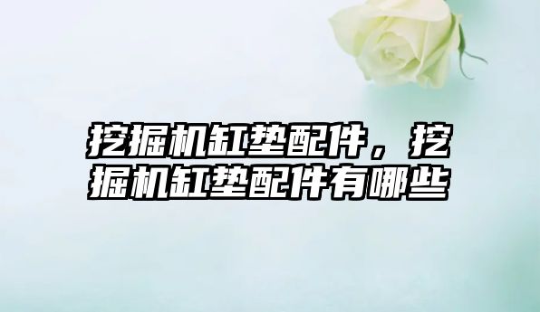 挖掘機(jī)缸墊配件，挖掘機(jī)缸墊配件有哪些