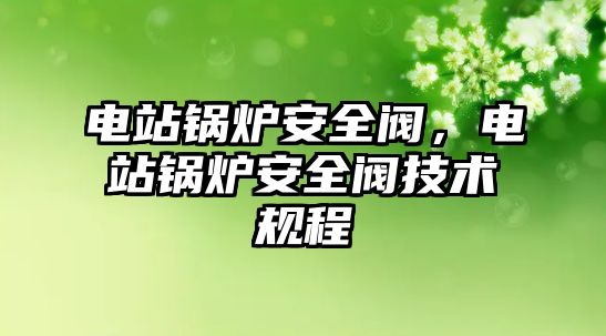 電站鍋爐安全閥，電站鍋爐安全閥技術(shù)規(guī)程