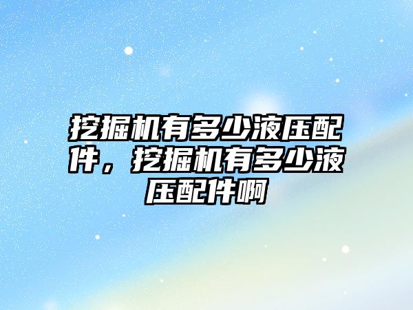 挖掘機(jī)有多少液壓配件，挖掘機(jī)有多少液壓配件啊
