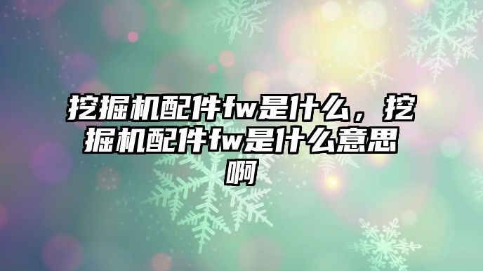 挖掘機(jī)配件fw是什么，挖掘機(jī)配件fw是什么意思啊