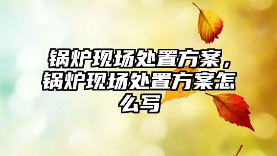 鍋爐現(xiàn)場(chǎng)處置方案，鍋爐現(xiàn)場(chǎng)處置方案怎么寫