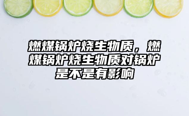 燃煤鍋爐燒生物質(zhì)，燃煤鍋爐燒生物質(zhì)對鍋爐是不是有影響