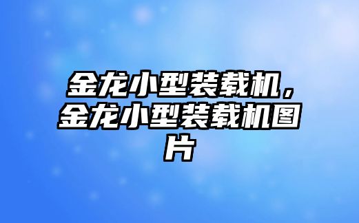 金龍小型裝載機(jī)，金龍小型裝載機(jī)圖片
