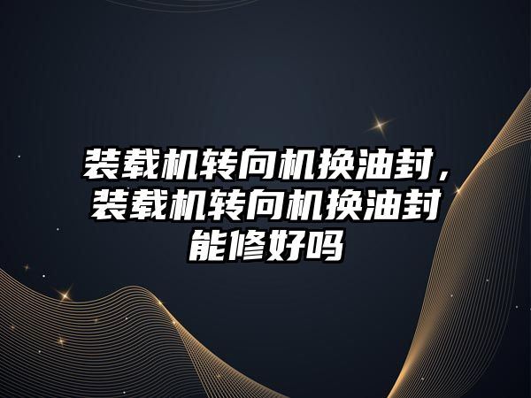 裝載機轉(zhuǎn)向機換油封，裝載機轉(zhuǎn)向機換油封能修好嗎