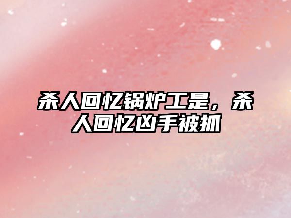 殺人回憶鍋爐工是，殺人回憶兇手被抓