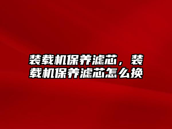 裝載機(jī)保養(yǎng)濾芯，裝載機(jī)保養(yǎng)濾芯怎么換