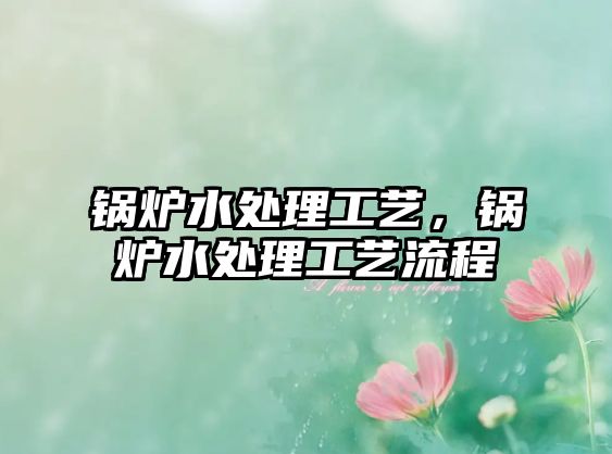 鍋爐水處理工藝，鍋爐水處理工藝流程