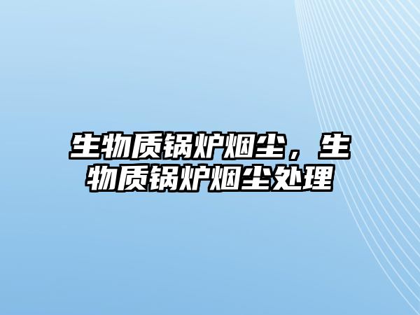 生物質(zhì)鍋爐煙塵，生物質(zhì)鍋爐煙塵處理