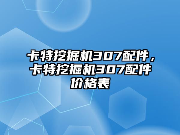 卡特挖掘機(jī)307配件，卡特挖掘機(jī)307配件價(jià)格表
