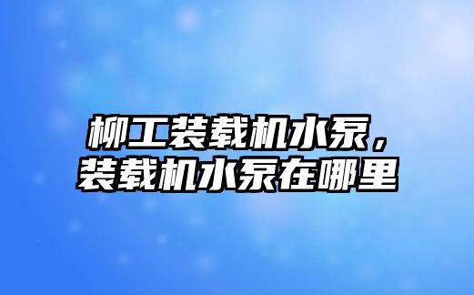 柳工裝載機(jī)水泵，裝載機(jī)水泵在哪里