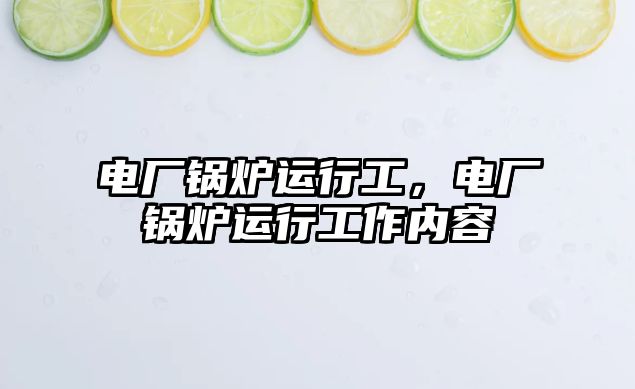 電廠鍋爐運(yùn)行工，電廠鍋爐運(yùn)行工作內(nèi)容