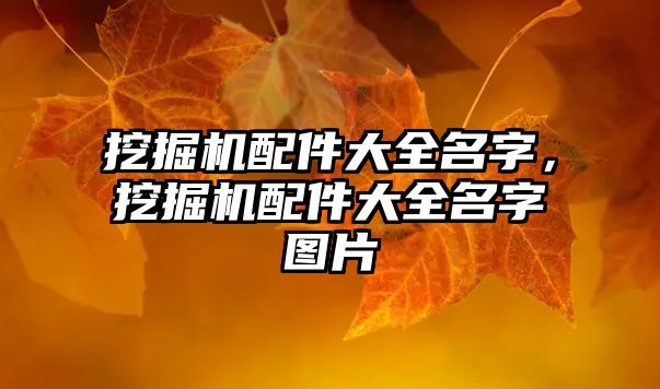 挖掘機(jī)配件大全名字，挖掘機(jī)配件大全名字圖片