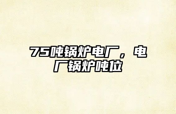 75噸鍋爐電廠，電廠鍋爐噸位