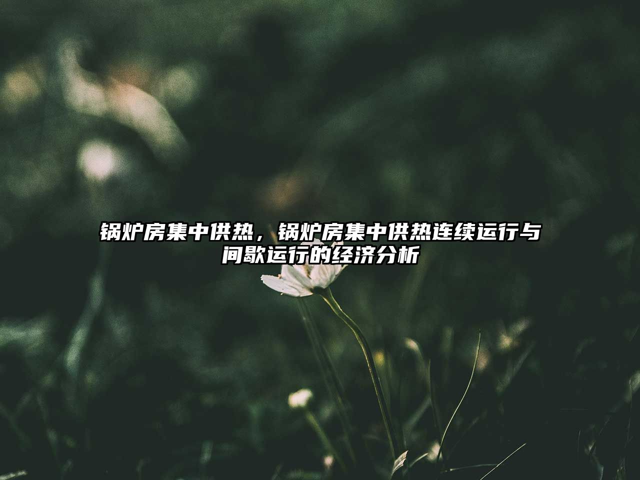 鍋爐房集中供熱，鍋爐房集中供熱連續(xù)運行與間歇運行的經(jīng)濟分析