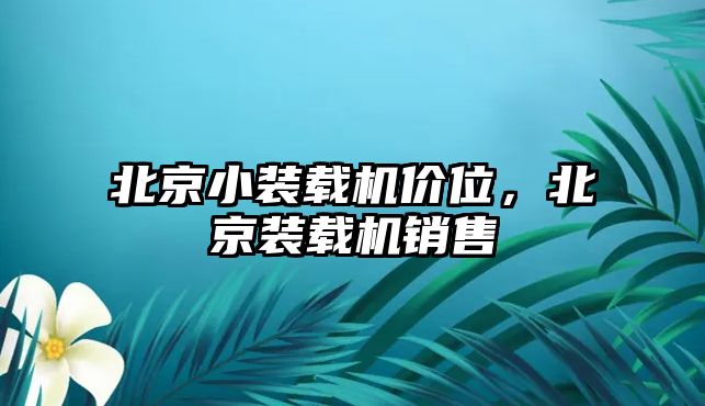 北京小裝載機價位，北京裝載機銷售