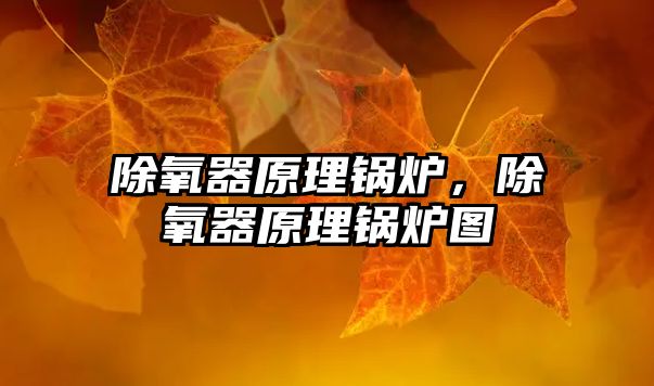 除氧器原理鍋爐，除氧器原理鍋爐圖