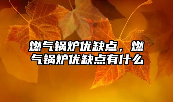 燃氣鍋爐優(yōu)缺點，燃氣鍋爐優(yōu)缺點有什么