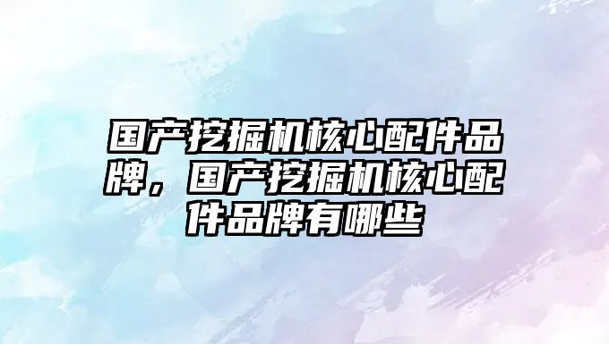 國產(chǎn)挖掘機(jī)核心配件品牌，國產(chǎn)挖掘機(jī)核心配件品牌有哪些