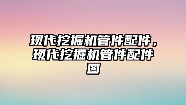 現(xiàn)代挖掘機(jī)管件配件，現(xiàn)代挖掘機(jī)管件配件圖