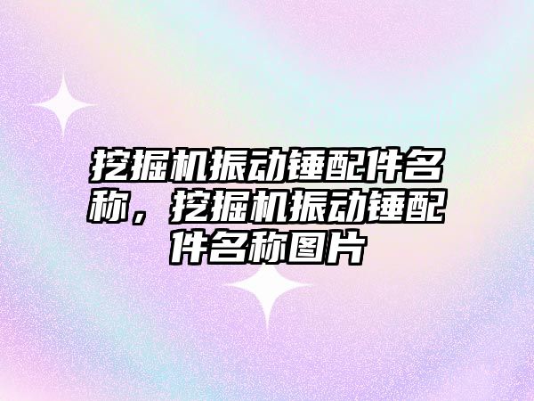 挖掘機(jī)振動(dòng)錘配件名稱，挖掘機(jī)振動(dòng)錘配件名稱圖片
