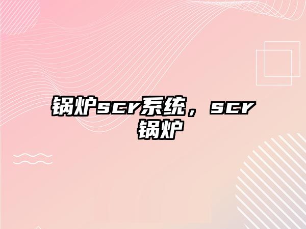 鍋爐scr系統(tǒng)，scr 鍋爐