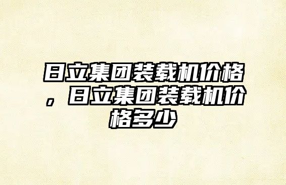 日立集團裝載機價格，日立集團裝載機價格多少