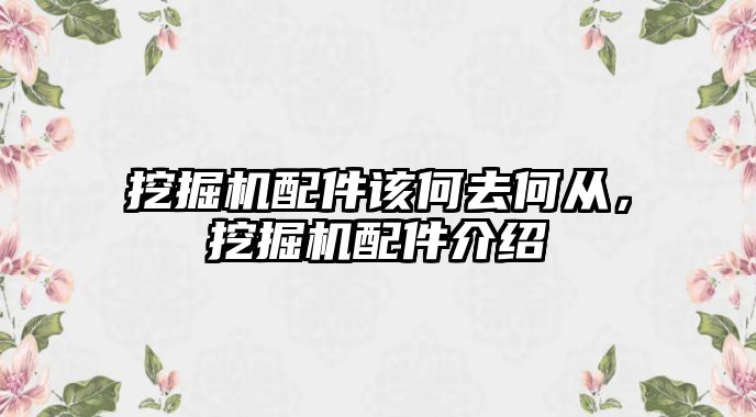 挖掘機(jī)配件該何去何從，挖掘機(jī)配件介紹