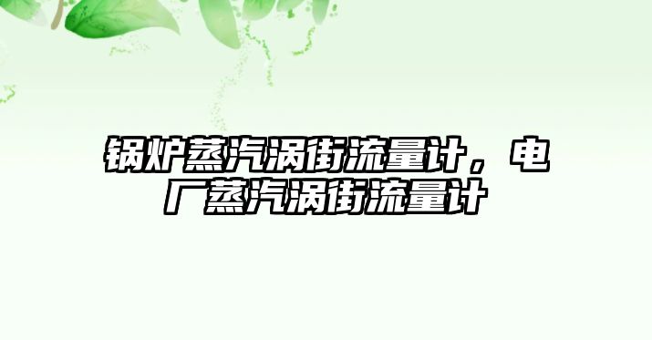 鍋爐蒸汽渦街流量計(jì)，電廠蒸汽渦街流量計(jì)