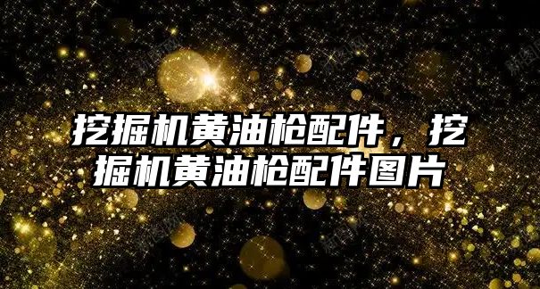 挖掘機黃油槍配件，挖掘機黃油槍配件圖片