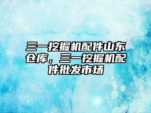 三一挖掘機(jī)配件山東倉(cāng)庫(kù)，三一挖掘機(jī)配件批發(fā)市場(chǎng)
