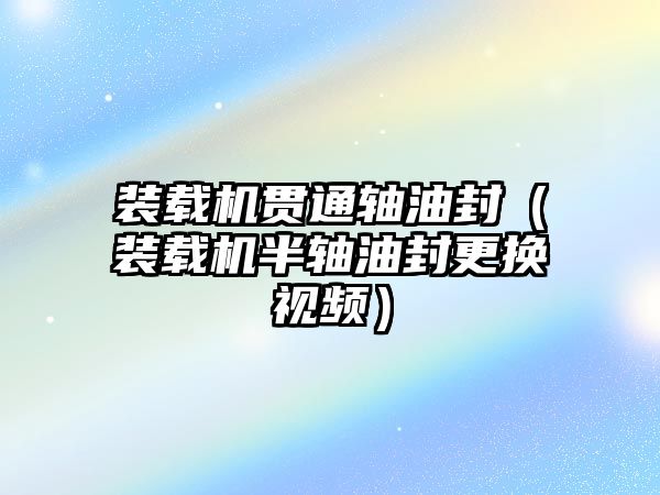 裝載機貫通軸油封（裝載機半軸油封更換視頻）