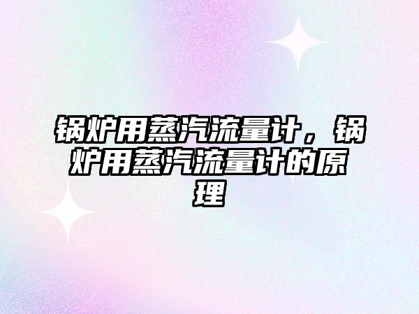 鍋爐用蒸汽流量計，鍋爐用蒸汽流量計的原理