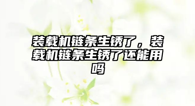 裝載機鏈條生銹了，裝載機鏈條生銹了還能用嗎