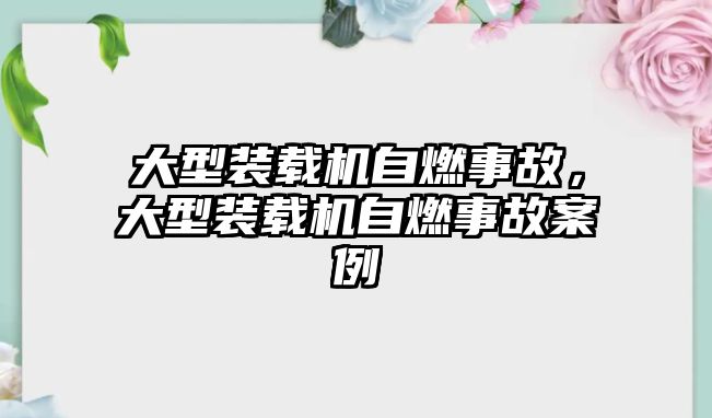 大型裝載機自燃事故，大型裝載機自燃事故案例