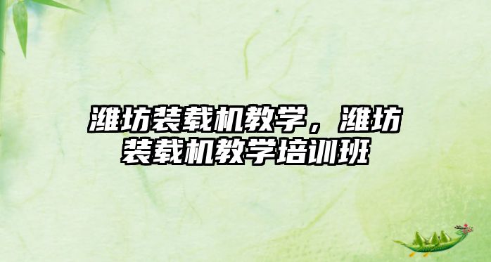 濰坊裝載機教學，濰坊裝載機教學培訓班