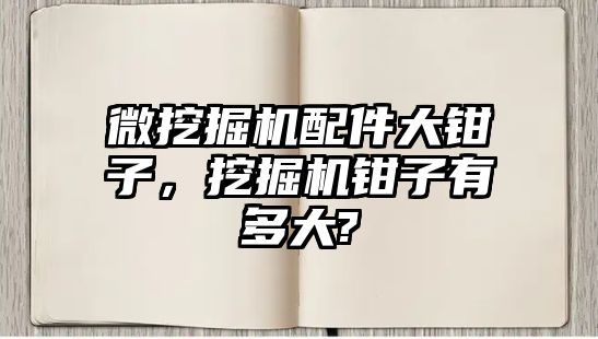 微挖掘機配件大鉗子，挖掘機鉗子有多大?