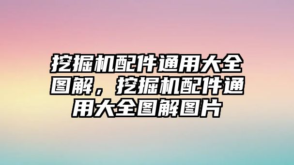 挖掘機配件通用大全圖解，挖掘機配件通用大全圖解圖片
