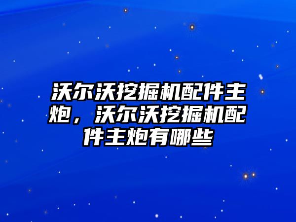 沃爾沃挖掘機(jī)配件主炮，沃爾沃挖掘機(jī)配件主炮有哪些