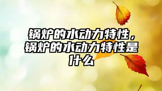 鍋爐的水動力特性，鍋爐的水動力特性是什么
