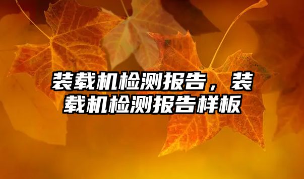 裝載機檢測報告，裝載機檢測報告樣板