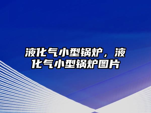 液化氣小型鍋爐，液化氣小型鍋爐圖片