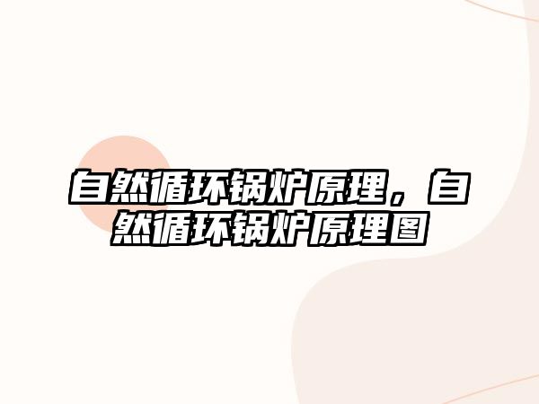 自然循環(huán)鍋爐原理，自然循環(huán)鍋爐原理圖