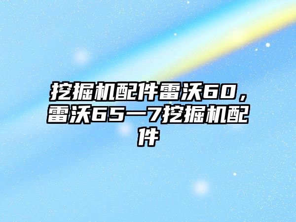 挖掘機(jī)配件雷沃60，雷沃65一7挖掘機(jī)配件