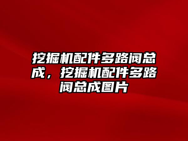 挖掘機(jī)配件多路閥總成，挖掘機(jī)配件多路閥總成圖片