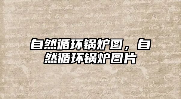 自然循環(huán)鍋爐圖，自然循環(huán)鍋爐圖片