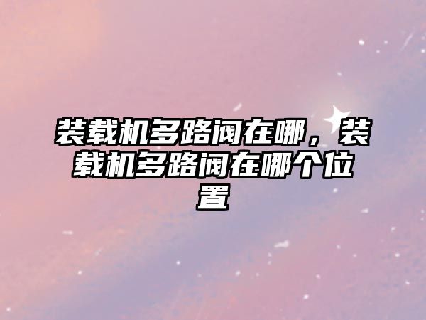 裝載機多路閥在哪，裝載機多路閥在哪個位置