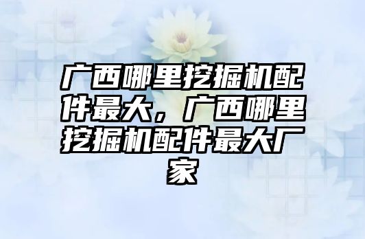 廣西哪里挖掘機(jī)配件最大，廣西哪里挖掘機(jī)配件最大廠家