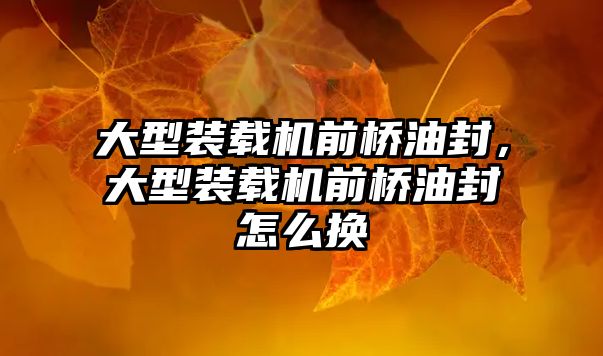 大型裝載機前橋油封，大型裝載機前橋油封怎么換