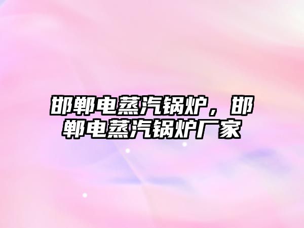 邯鄲電蒸汽鍋爐，邯鄲電蒸汽鍋爐廠家